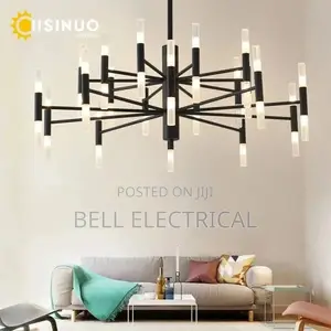Modern Fashion Designer Black Gold Led Ceiling