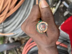 4mm 2 Core Armored Cable