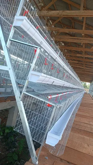Hopico Global Enterprises Poultry Cage