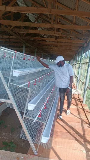 Corporate Poultry Cage O 120 Birds Capacity