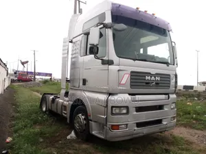 Man Tga 18.440 Grey Colour