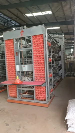 Fully Automated Poultry Cage Self Feeding With Egg Conveyor