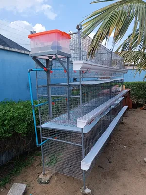 Giant Turkey Poultry Cage With Roof Hanger
