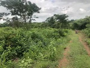 Good Land for Farming in Ogun State.Nigeria