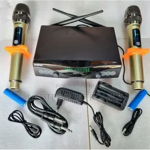 Professional Microphone