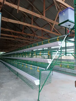 Nigeria Poultry Cage