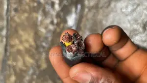 16mmx4core Flex Wire