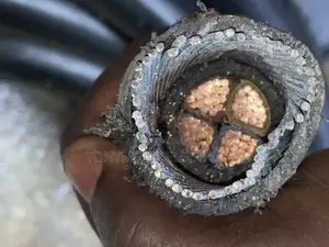 50mmx4core Armored Cable
