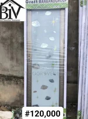 Toilet and Bathroom Door