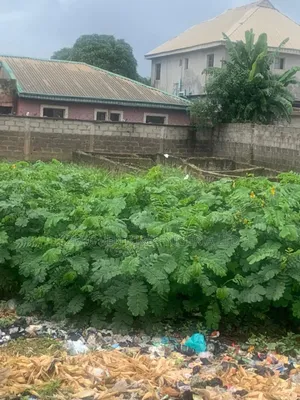 Half Plot of Land at Ikotun