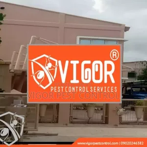 Fumigation | Cleaning | Chemical | Termites | Scorpion | Rat