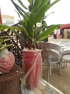 Elegant Artificial Palm Plant 6ft G.P Cone Flower Vase
