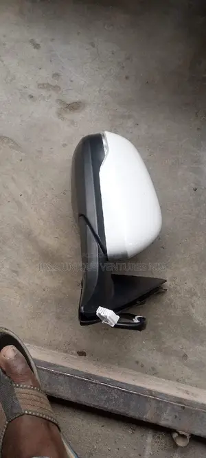 Side Mirror With Light 19hrv