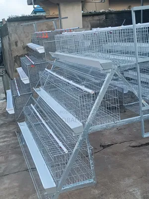 Hot Deep Imported Cage 