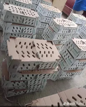 A Day Old Broilers And Layers