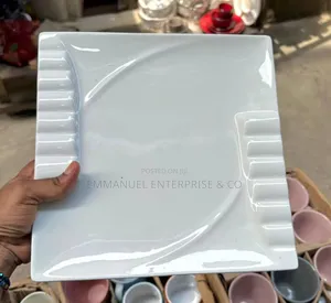 Classy Ceramic Plates for Restaurant/Cafeteria/Hotels