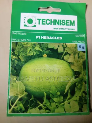 Hybrid Watermelon Seeds