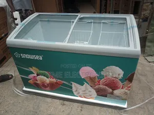 Snowsea Ice Cream Freezer