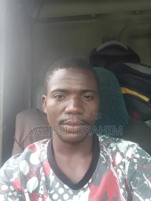 Am Truck Driver