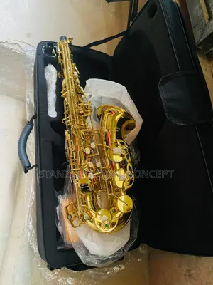 Intermediate Premier Sanjin Alto Saxophone