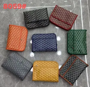 *Goyardine Hand Bag*