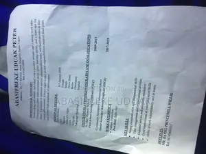 Housekeeping Cleaning CV