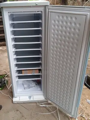198l Bona Standing Solar Freezer