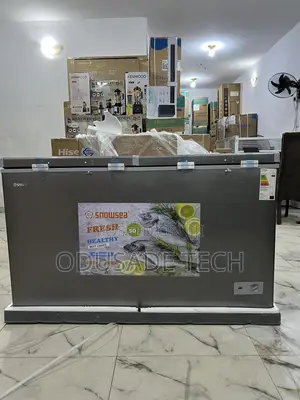Snowsea Bd600g 420l Deep Freezer – Commercial Home Use