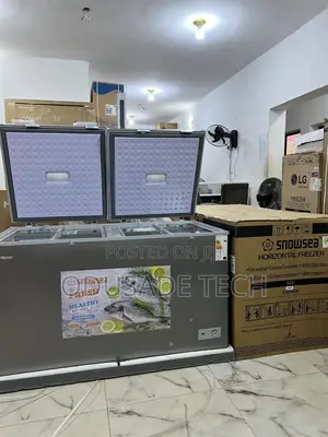 Snowsea Bd600g – Large Capacity Freezer 420l