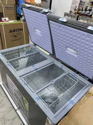 Snowsea Bd600g 420l Chest Freezer–Low Noise, High Efficiency