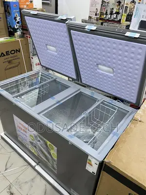 Bd600g Freezer –420l Storage, Anti-Rust Interior by Snowsea
