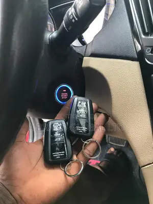 Pke Alarm Remote Engine Start and Stop