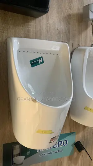 Luxury Modern Urinary Bowl