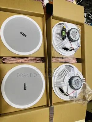 4 in One 120watts Bluetooth Ceiling Speaker