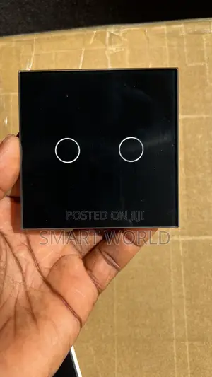 2gang Wifi Smart Switch With Tuya, Alexa Google