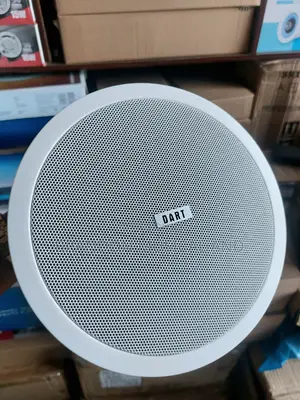 Ceiling Speaker
