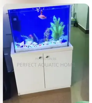 Wall Aquarium