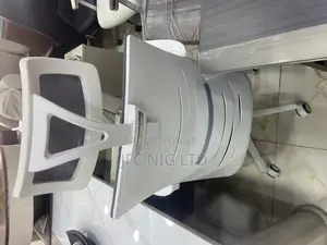 Ergonomic Office Chair