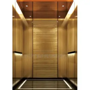 Outdoor 3 Floor Hydraulic Commercial Passenger Elevator
