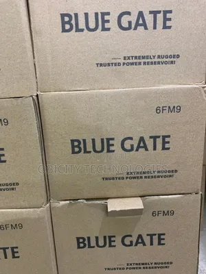 12v 7ahms Bluegate Ups Battery