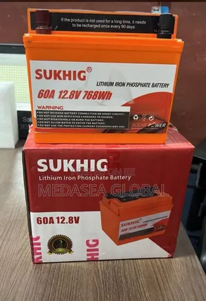 60ah Lithium Batteries
