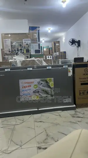 420l of Cold Storage – Snowsea Deep Freezer Bcd600g