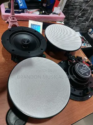120 Watts Ceiling Speaker