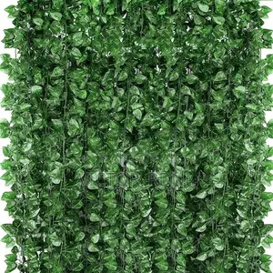 Beautiful Creeping Plants