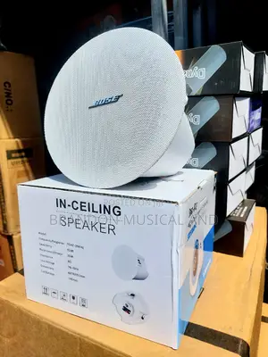 Bose in Ceiling Speaker