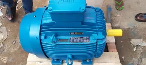 Weg Electric Motor 55kw 75hp 1480rpm