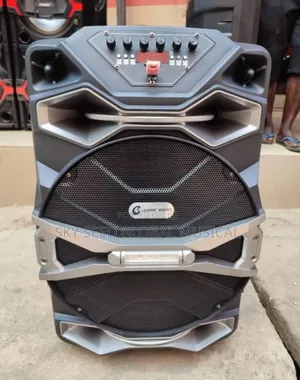 15inches Pa System, Very Professional