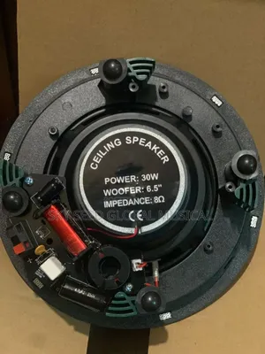 Original 30watts Ceiling Speakers
