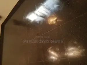Polishing Buffing Marble, Terrazzo, Ceramic Tiles Floors.