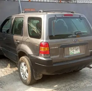 Ford Escape 2004 Gray